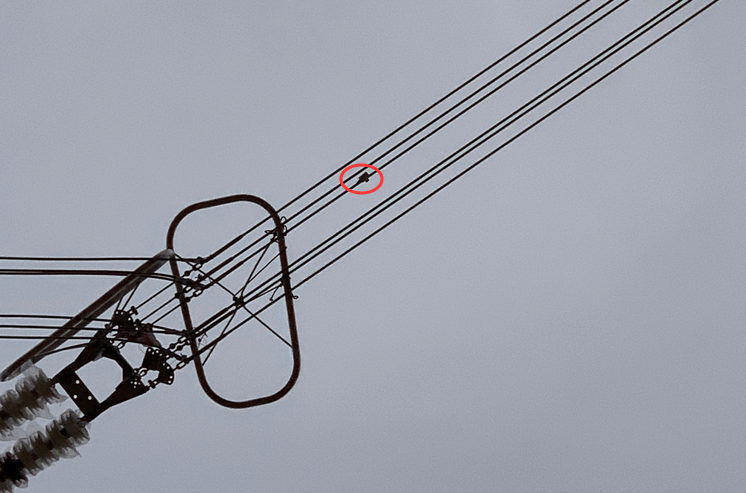 初心如磐，特力康高壓輸電線路導(dǎo)線溫度在線監(jiān)測(cè)系統(tǒng)